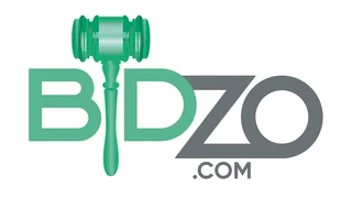 bidzo.com logo