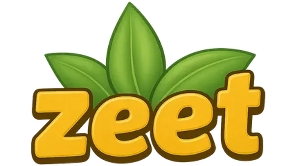 zeet.com.webp